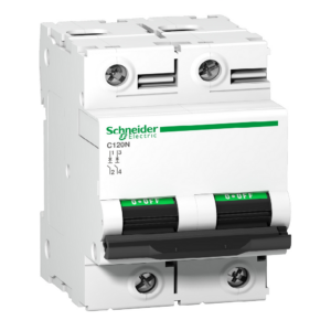 Schneider 80A 2P C-Curve MCB, 10kA