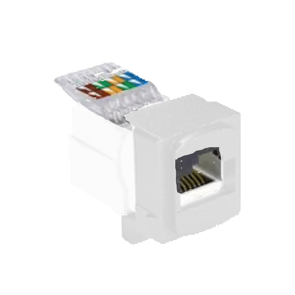 Neu Module Data White