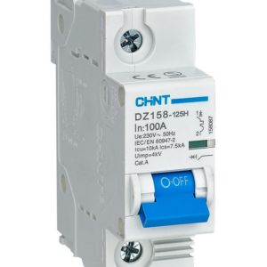 Chint DIN Circuit Breaker – 100A, 1P, C-Curve, 10kA