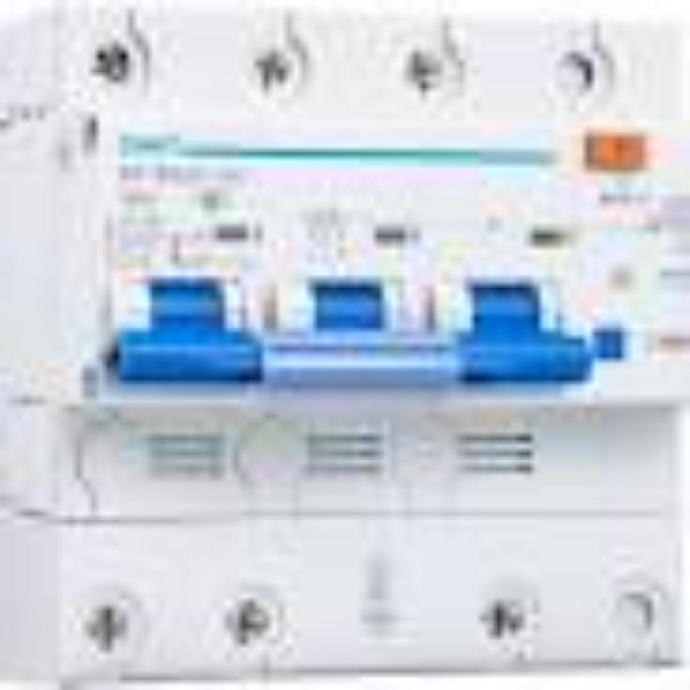 Chint 1P+N (2P) 100A Earth Leakage Circuit Breaker – 100mA +