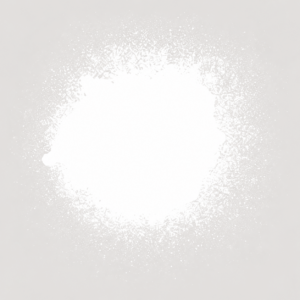 Gloss White Spray Paint 250ML