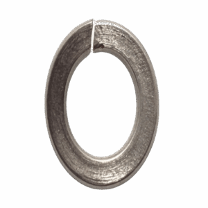 M10 Spring Washer - Electro-Galvanized (EG)